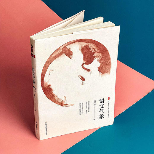 语文气象 大夏书系 成尚荣教育文丛 中小学语文课教学研究 商品图3
