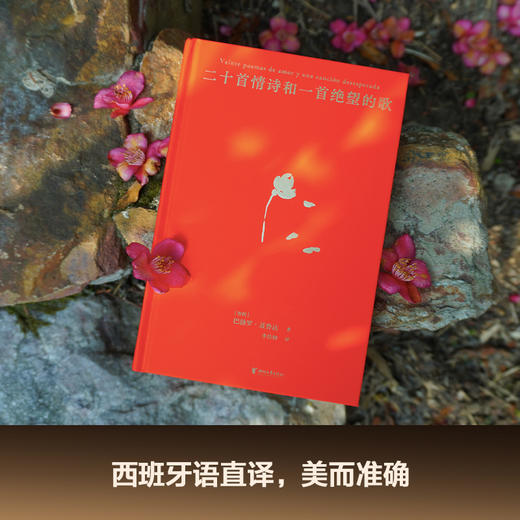 二十首情诗和一首绝望的歌（诺奖诗人聂鲁达经典情诗集，西班牙语直译，精装典藏） 商品图5