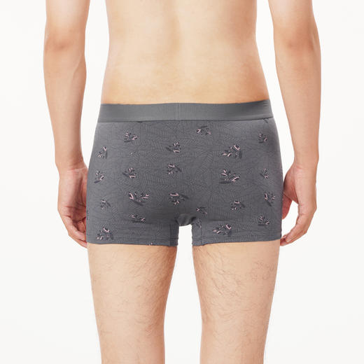 都市丽人都市锋尚日常休闲内裤男棉莫男士内裤平角内裤FK4CB9 商品图3