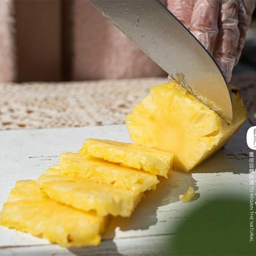 贝壳  海南南采正宗的海南金钻凤梨 甜度可佳浓郁香甜 从舌尖沁入心脾 商品图7