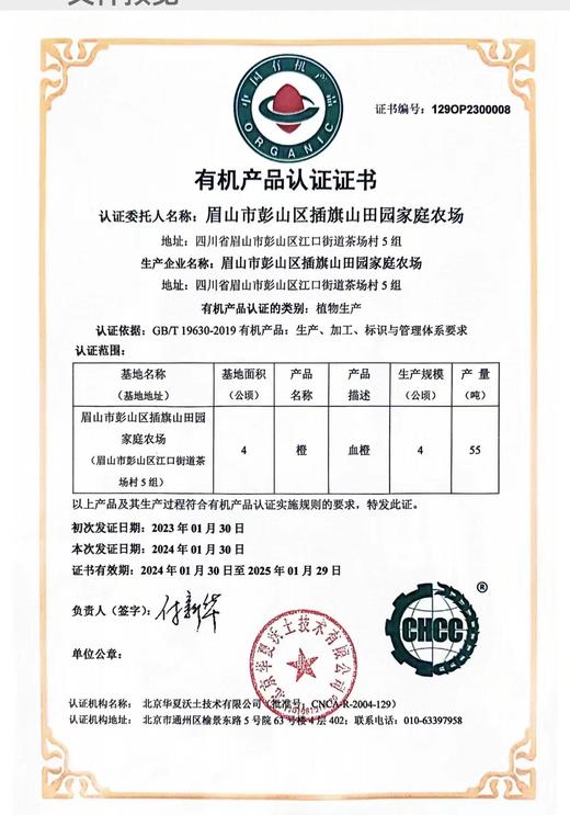 有机血橙｜现摘现发｜四川彭山直发 商品图14