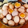 有机土鸡蛋｜30枚｜衢州龙游山｜顺丰发 商品缩略图13
