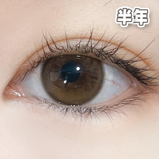 #Mel 蜂蜜烧 黄金2.0 棕色【1片装】舒适推荐 / 半年抛 商品图3