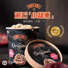 BAILEYS百利甜酒冰淇淋桶微醺口味爱尔兰原装进口经典原味473ml