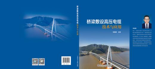 桥梁敷设高压电缆技术与应用 商品图2