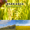 【春日新品】红豆薏米粉220g/袋 自然的谷物清香 细腻丝滑 饱腹又健康 商品缩略图6
