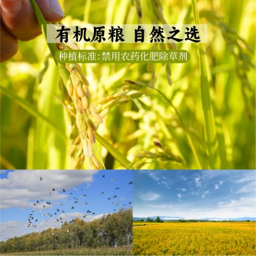 【春日新品】红豆薏米粉220g/袋 自然的谷物清香 细腻丝滑 饱腹又健康 商品图6
