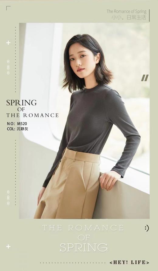 LS竹纤维女士简约中领打底衫520 商品图4