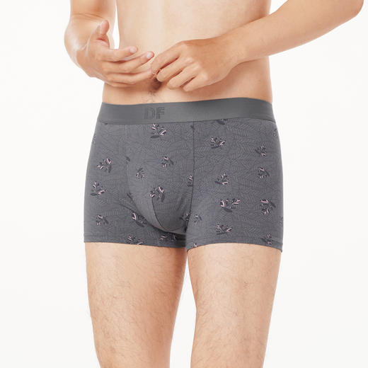 都市丽人都市锋尚日常休闲内裤男棉莫男士内裤平角内裤FK4CB9 商品图2