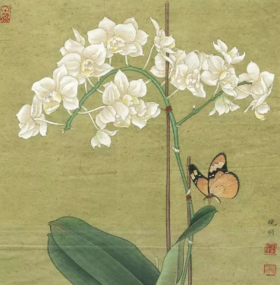  【国画教程】《白蝴蝶兰》画法，快来学习吧！ 