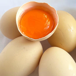 『安徽林间散养土鸡蛋』蛋白浓稠，蛋黄饱满，口感鲜香，质嫩无腥味，高山竹林原生态散养
