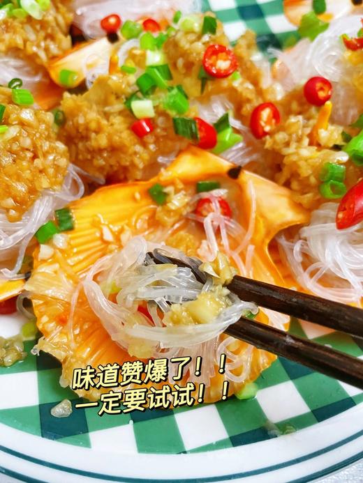 活开黄金扇贝 肉鲜肥美 清蒸烧烤，口感一流【新鲜活冻】 商品图3