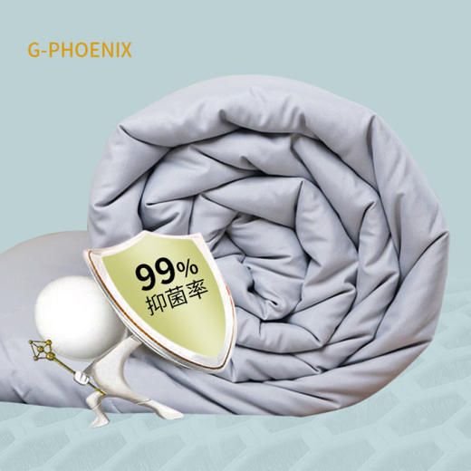 希凤凰石墨烯春秋被（3斤） 商品图1