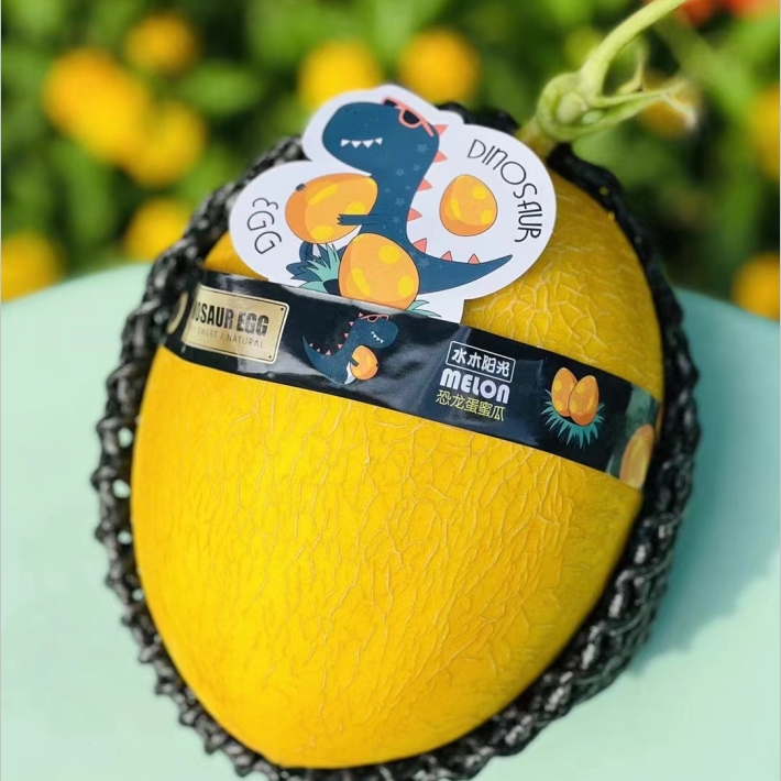 恐龙蛋蜜瓜 | 好酷的蜜瓜，黄皮黄肉，纯甜，恐龙蛋蜜瓜！