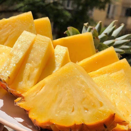 贝壳  海南南采正宗的海南金钻凤梨 甜度可佳浓郁香甜 从舌尖沁入心脾 商品图3