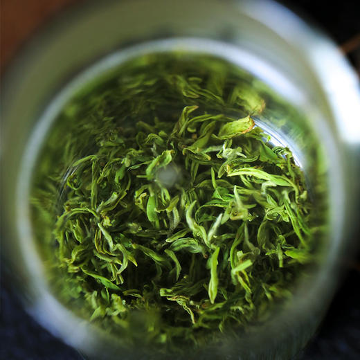 2026年明前一芽一叶碧螺春50g 商品图2