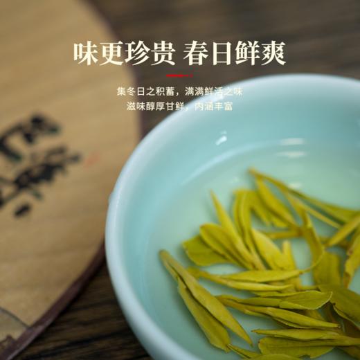 2024明前特级高山龙井茶【钱塘产区】·湖畔居 商品图3