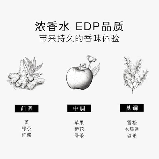 瑞典进口 SG79 EdP淡香精 艺术香水 N°3斯德哥尔摩的天空：风中等待 商品图6