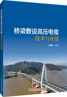 桥梁敷设高压电缆技术与应用