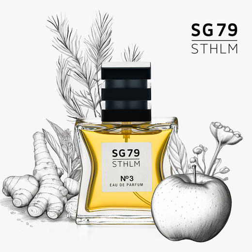 瑞典进口 SG79 EdP淡香精 艺术香水 N°3斯德哥尔摩的天空：风中等待 商品图4