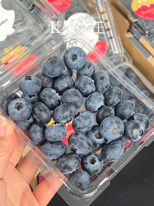 稼沃蓝莓🫐雪山甜蓝莓 天花板的蓝莓 好山好水 种出来的东西也是好的送礼，追求高品质，强烈推荐[强] 商品图3
