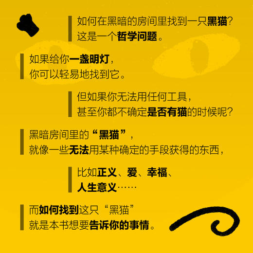 如何在黑暗的房间里找到一只黑猫 人类的恐惧、偏见、自恋与秩序感 心理学书籍社会心理学人生哲理书籍 商品图2