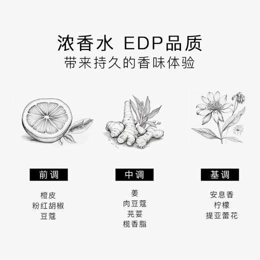 瑞典进口 SG79 EdP淡香精 艺术香水 N°1斯德哥尔摩的午后：阳光交错 商品图6