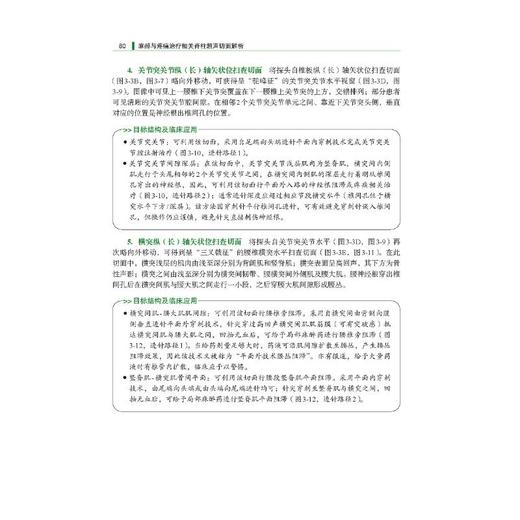 麻醉与疼痛治疗相关脊柱超声切面解析 商品图4