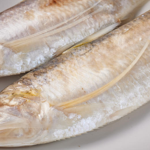 中洋鱼天下春鲜季 刀鱼冷冻260g(2条装，赠料包) 鲜活品 生态养殖 鲜嫩肉质 商品图3