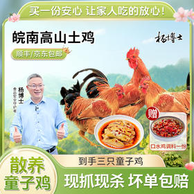 夏天吃清蒸的小公鸡配口水鸡蘸料，这味道绝了！