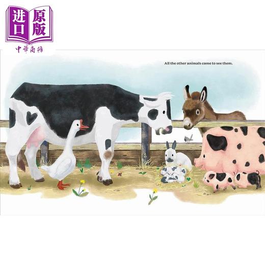 【中商原版】可爱勇敢的小兔子 Joy Steuerwald The Cutest Brave Little Bunny英文原版进口 儿童绘本 图画故事 精装精品绘本 商品图1