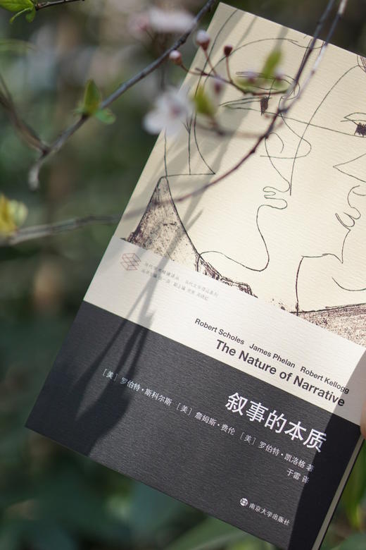 叙事的本质·当代学术棱镜译丛 商品图2