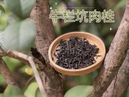 2023牛栏坑肉桂“桂”不可言，桂皮香、桂花香、蜜桃香，香气更有穿透力，汤感更稠润 商品图4