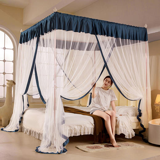 自然醒落地蚊帐家用卧室公主风床幔加厚1米8大床宫廷高级纹账2403HH 商品图4