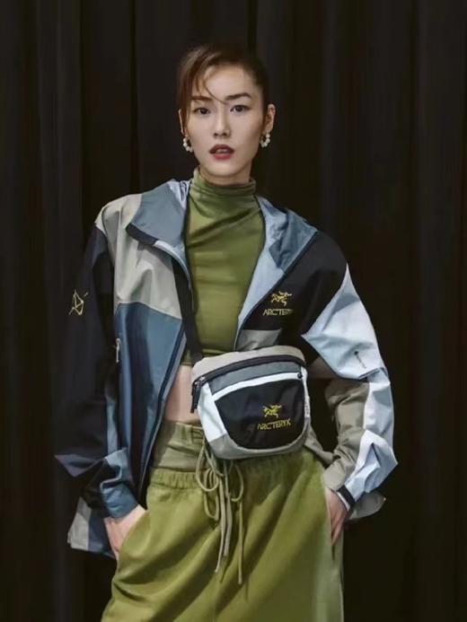 刘雯同款鸟联名款单肩包胸包腰包 商品图0