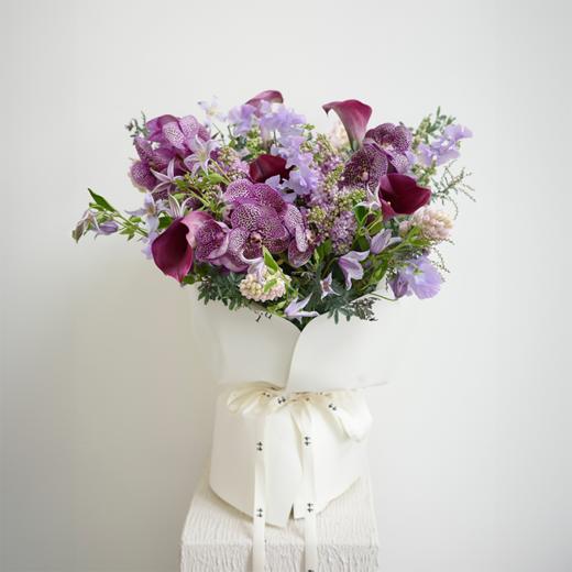 藤尾浅香Purple Scent 商品图0