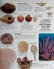 【中商原版】Eyewitness系列 化石百科 Eyewitness Fossil DK Eyewitness 英文原版 DK 科学百科 自然科学 化石 商品缩略图6