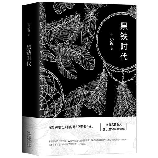 王小波：黑铁时代 商品图0