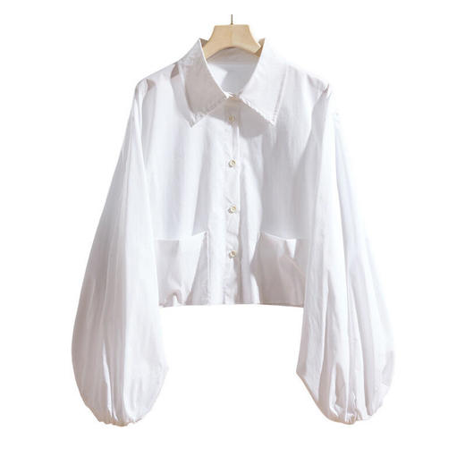 TZF-春装衬衫女短款新款设计感小众洋气灯笼袖衬衣宽松显瘦上衣 商品图4