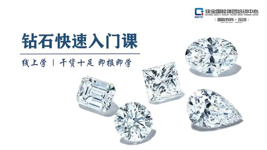 钻石快速入门课 商品图0