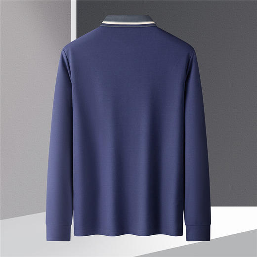 14LP3701114LP37011【绣花胸标】罗蒙春秋男士仿丝光polo衫男长袖t恤男商务男士polo衫 商品图3