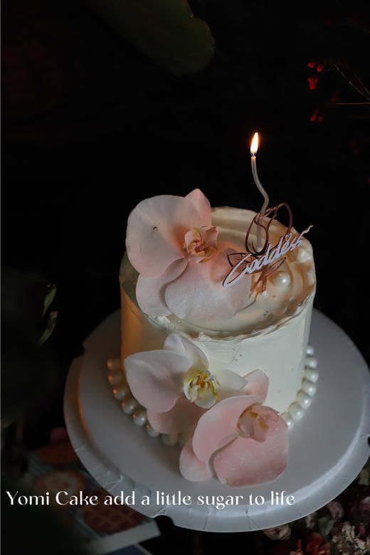 蝴蝶兰（暖晴）🌸 商品图3