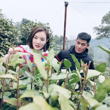 【限量】狮峰龙井2025明前头采（天花板产区）100克礼盒 大师龙井 商品图2