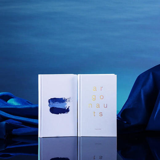 阿尔戈（美）玛吉·尼尔森 著 商品图4