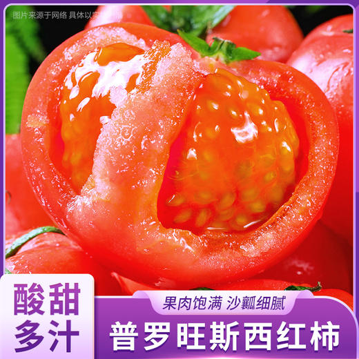 山东普罗旺斯西红柿（M） 商品图0
