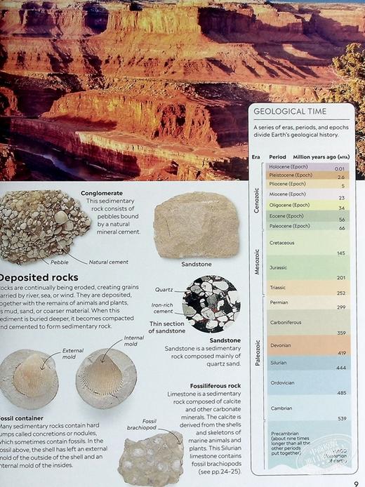 【中商原版】Eyewitness系列 化石百科 Eyewitness Fossil DK Eyewitness 英文原版 DK 科学百科 自然科学 化石 商品图5