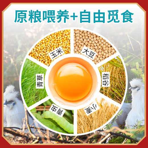 凤领王朝泰和原种乌鸡蛋 商品图2