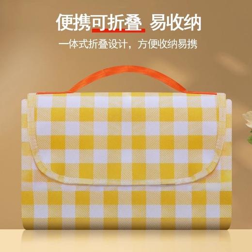【可折叠收纳！春游小提包野餐垫】防水防潮可机洗手洗，享受春日的美好时光！野餐布亲子户外便携防草野炊地垫郊游加厚ins风 商品图4