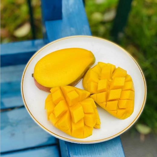 海南贵妃芒|新贵妃芒啦太开心🥳，打开盖子香喷喷的😍早期的果子居然这么好吃，自然熟果，细腻爽滑，又水又甜，味儿还很足，带着热带阳光的鲜活香味～🌞😋😋🥭 商品图3