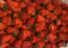 【周五自提】本地奶油草莓（2斤装） 商品缩略图0